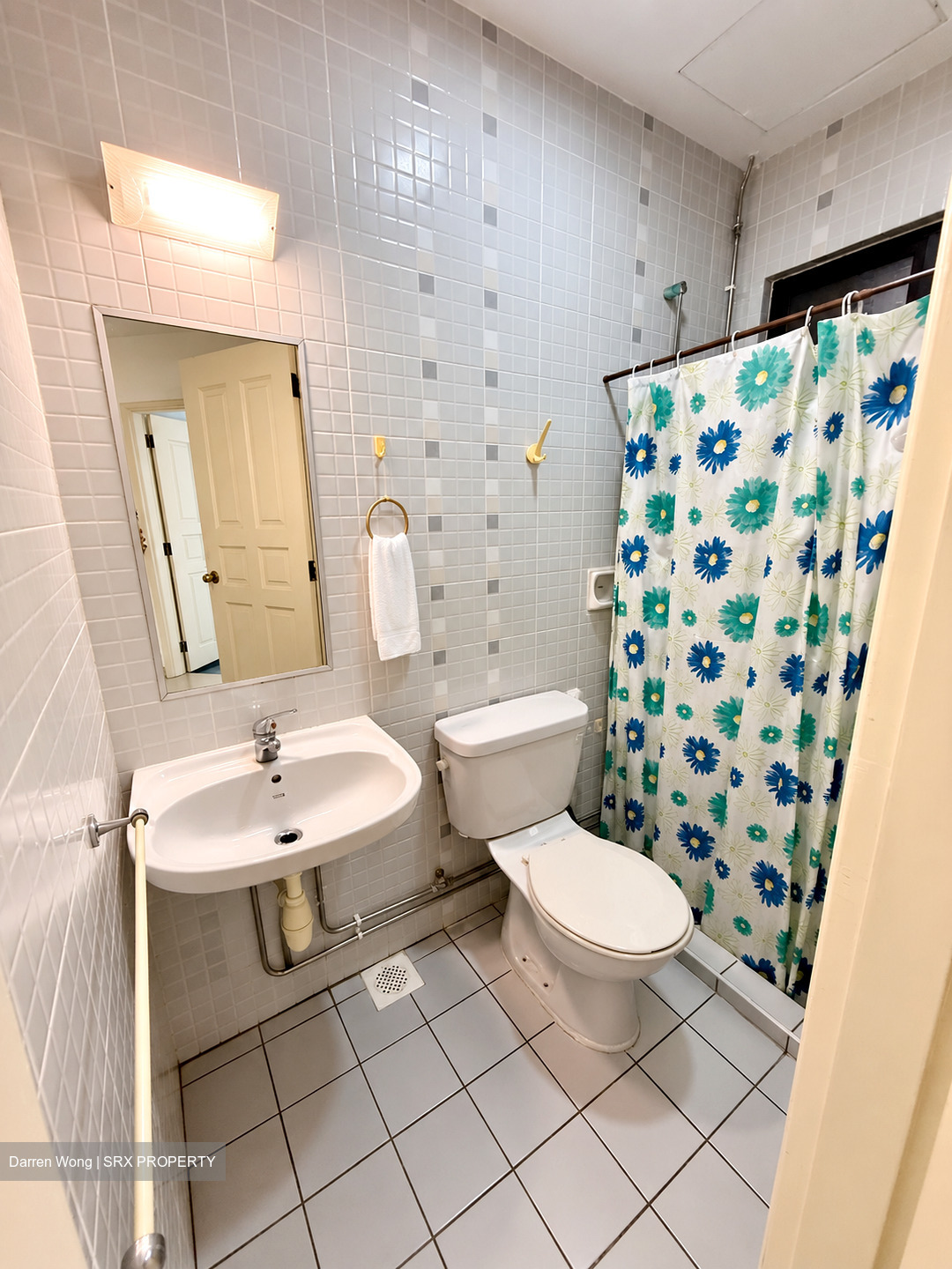 Limau Park (D16), Condominium #619494431